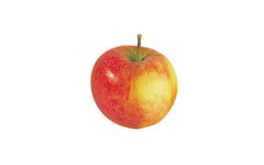 POMME COX 65/70 CAISSE 11KG