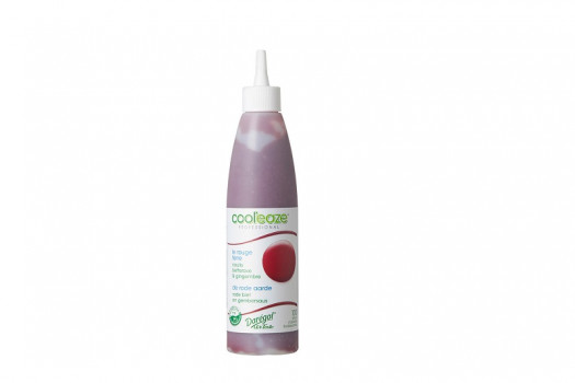 COULIS ROUGE TERRE 240GR