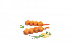 BROCHETTE DE POISSON 22*110GR