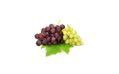 RAISIN MIXTE RAVIER 500GR (ZAF)