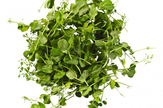 SALADE DE PEA 2x110GR