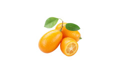 KUMQUAT /KG