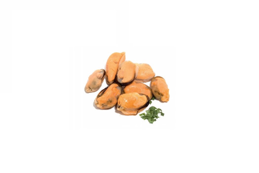 MOULE DECORTIQUEE 300/500 1KG