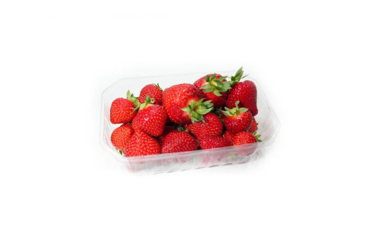 FRAISE 500 GR RAVIER (BEL)
