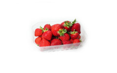 FRAISE 500 GR RAVIER (BEL)