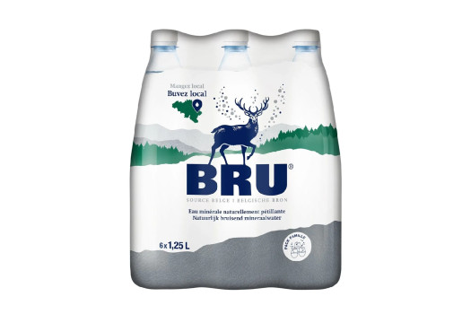 EAU PETILLANTE BRU 6*1.25L