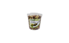 CROUTON FRUIT SEC 450GR