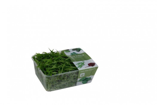 SALADE ROQUETTE 125GR RAVIER