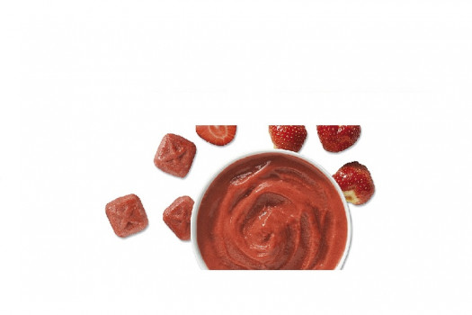 PUREE  FRAISE 1KG