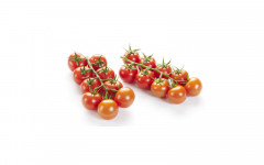 TOMATE GRAPPE MINISTAR /KG