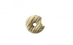 DONUT COCONUTTI 48*74GR /4250887