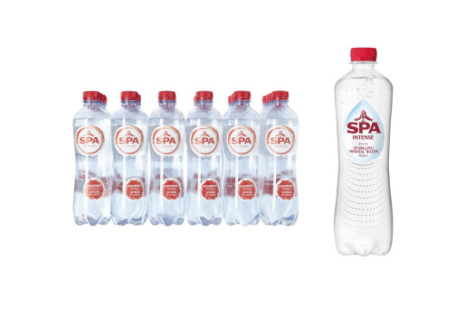 EAU PETILLANTE 24*50CL PET
