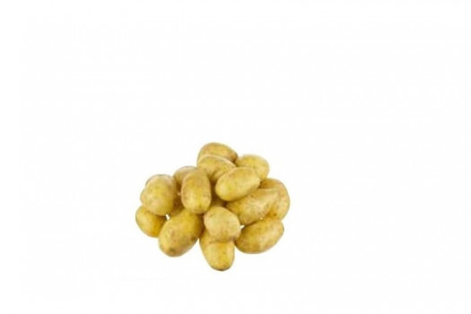 PDT CHYPRE 2.5KG