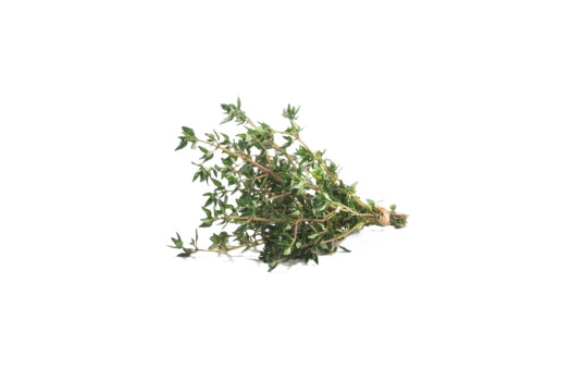 THYM RAVIER 40GR