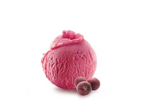 SORBET PECHE DE VIGNE 1L