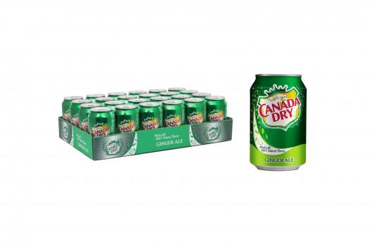 CANADA DRY 24*33CL CANS
