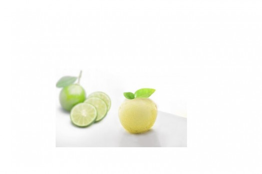 SORBET CITRON VERT ZESTE 2*2.5L