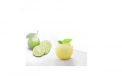 SORBET CITRON VERT ZESTE 2*2.5L