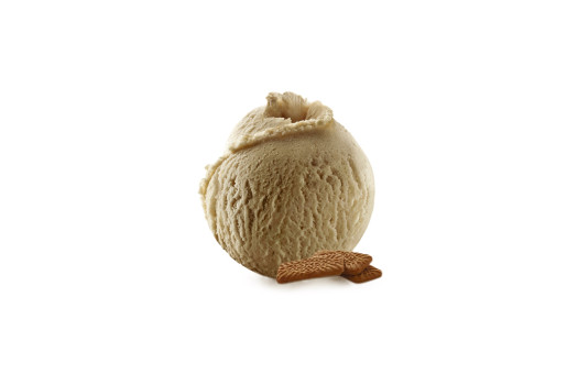 GLACE SPECULOOS 2.5L