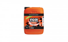 VIGOR 10L