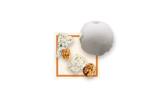 SORBET ROQUEFORT NOIX 2*2.5L