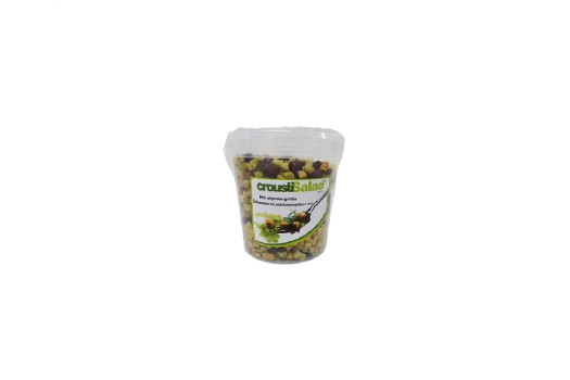 CROUTON PIGNON GRILLE 500GR