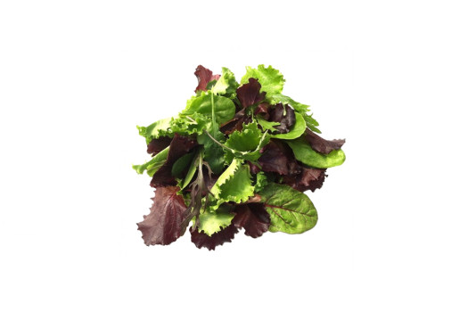 SALADE MESCLUN 125GR RAVIER (ITA)