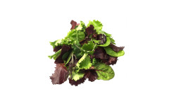 SALADE MESCLUN 125GR RAVIER (ITA)