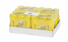 SCHWEPPES TONIC 24*33CL