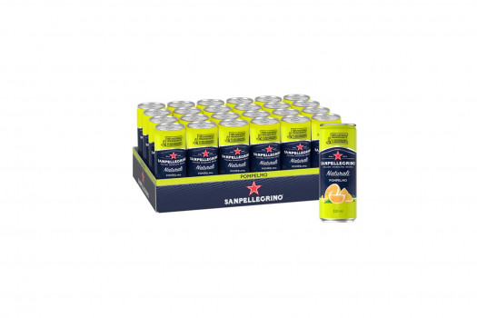 EAU PETILLANTE POMPELMO 24*33CL CANS