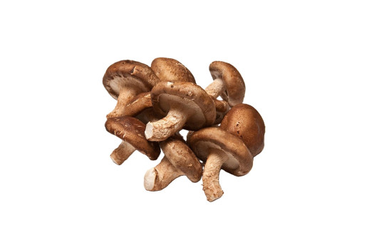 SHIITAKE 4*250GR