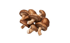 SHIITAKE 4*250GR
