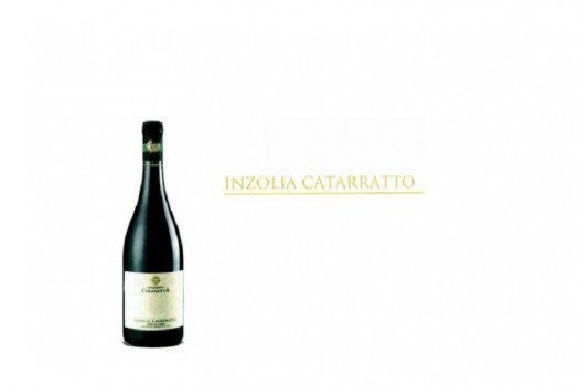 VIN INZOLIA CATARRATTO BL 75CL 12.5%