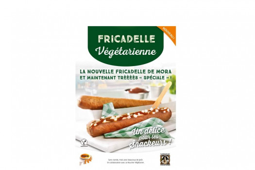 FRICADELLE VEGETARIEN 20*70GR