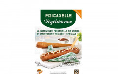 FRICADELLE VEGETARIEN 20*70GR