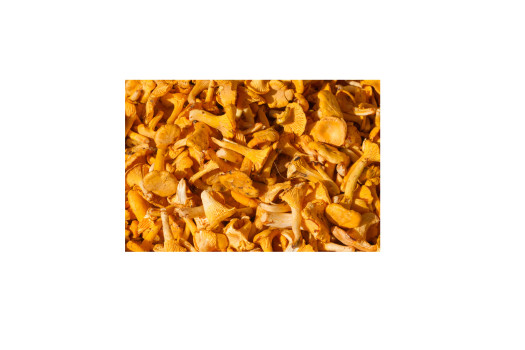 GIROLLE ENTIERE 1KG