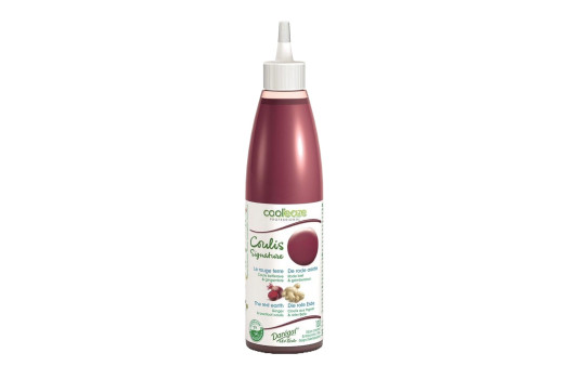 COULIS ROUGE TERRE 240GR