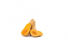 BUTTERNUT 1P