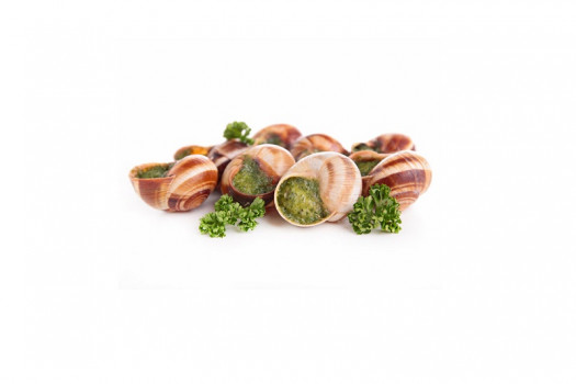 ESCARGOT TRES GROS 48P