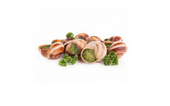 ESCARGOT TRES GROS 48P