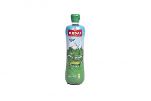 SIROP MENTHE 750ML