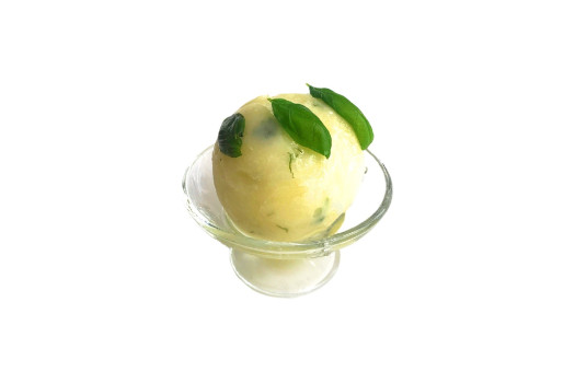 SORBET CITRON BASILIC 2*2.5L