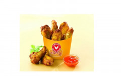DOTS&WINGS CURRY STYLE 3 KG