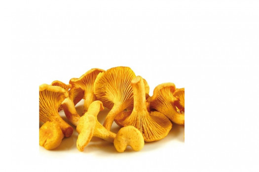 CHAMPIGNONS GIROLLES ENTIERES 3CM 1KG