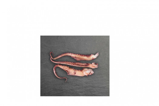 POULPE CUIT 5-7PC 800G