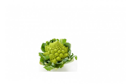 CHOU ROMANESCO 1P