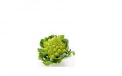 CHOU ROMANESCO 1P