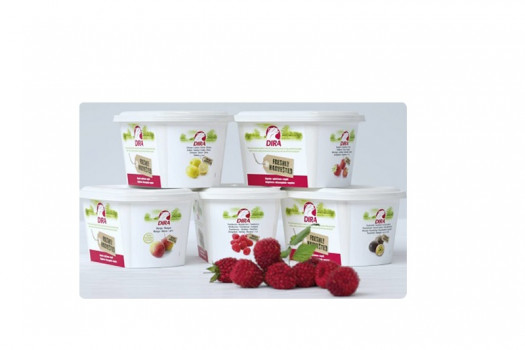 PUREE FRAMBOISE 1 KG