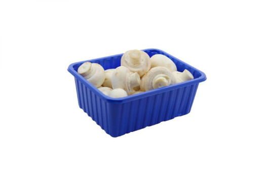 CHAMPIGNON DE PARIS BLANC RAVIER 500GR (BEL)