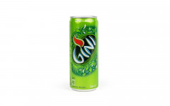 GINI 24*33CL CANS